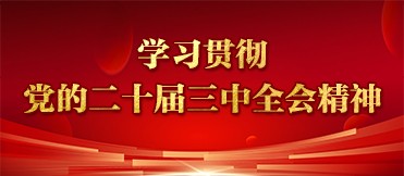 學(xué)習(xí)貫徹黨的二十屆三中全會(huì)精神.jpg